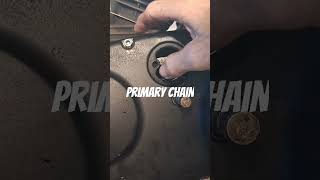 Whats Really Going On With Your Primary Chain Adjustment [upl. by Annaegroeg582]