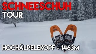 Schneeschuhtour aufs Hochälpele am Bödele [upl. by Nednyl]