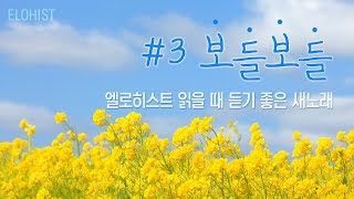 엘로히스트 읽을 때 듣기 좋은 새노래 3 [upl. by Arytahs]