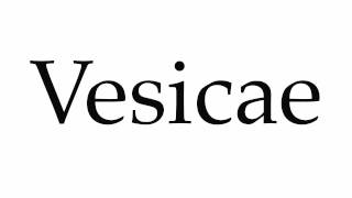 How to Pronounce Vesicae [upl. by Koenraad]