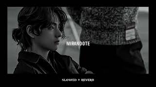 RVFV — MIRANDOTE slowed  reverb [upl. by Notnats]