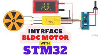 How to Interface BLDC MOTOR with STM32 [upl. by Adiraf]