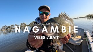 Jigging Bait And Vibes For Yellas at Nagambie [upl. by Yeaton]