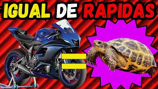 ‼️10 MOTOS QUE PARECEN RÁPIDAS PERO SON UNAS TORTUGAS‼️ [upl. by Arun]