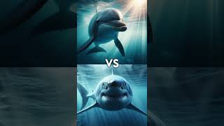 Great White Shark vs Dolphin vs  Orcas megalodon hammer head shark polar bear sperm whale [upl. by Seaver965]