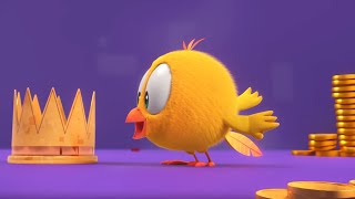 THE TREASURE  Wheres Chicky Funny Chicky  Cartoon Collection in English for Kids  New episodes [upl. by Britte]