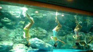 Synchronised swimming to Michael Jackson [upl. by Eilliw950]