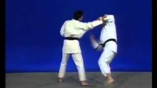 Maitriser jujitsu  Techniques basique [upl. by Nador]