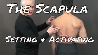 Setting and Activating the Scapula  Ask Dr Abelson [upl. by Altis]