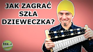 SZŁA DZIEWECZKA 🎶  Dzwonki chromatyczne cymbałki Instrumental cover amp tutorial Nuty [upl. by Laddie334]