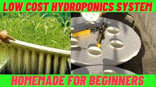 Low Cost Hydroponics Growing System Homemade For Beginners [upl. by Asaret997]