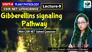 GIBBERELLIN SIGNALING PATHWAY  PHYTOHORMONEPART9 CSIR NETPLANT BIOLOGY [upl. by Ecerehs]