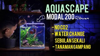 Paduan Lengkap Aquascape Untuk Pemula  Cuman 200 ribuan tanpa Injeksi Co2 lowtech aquascape [upl. by Corny266]