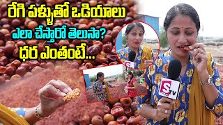 రేగి పండుతో వడియాలు తయారీ  Regi Vadiyalu In Telugu  Regi Pachadi  Jujube Fruit Recipe [upl. by Constancy30]