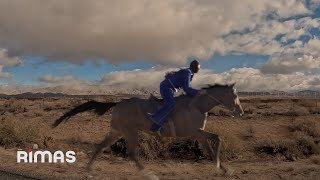 BAD BUNNY  NADIE SABE Visualizer  nadie sabe lo que va a pasar mañana [upl. by Saenihp]