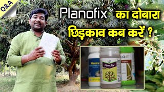 Planofix का दोबारा छिड़काव कब करें planofix second spray  Comments Answer AnilRamanVillager [upl. by Hayilaa]