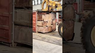 The violent unloading process of logs from a container shorts [upl. by Yrrab409]