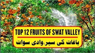 Top 12 Fruits of Swat Valley  Swat Valley Tourism  Switzerland of the East  Azmaray [upl. by Ailegnave738]