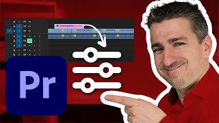 Die Einstellungsebene in Premiere Pro  Einfacher Videos bearbeiten [upl. by Tirrag399]