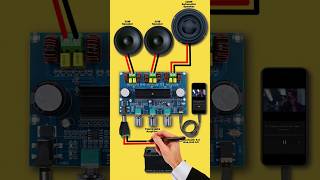 Subwoofer amplifier board  amplifier board diagram  TPA3116D2 [upl. by Ativla]