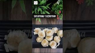 diwali suzhiyam sweet ytshorts shorts ytshort mothercitysana [upl. by Drofnas793]