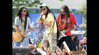 Steven n Coconut Treez feat Shaggy Dog Santeria [upl. by Nnylyram]