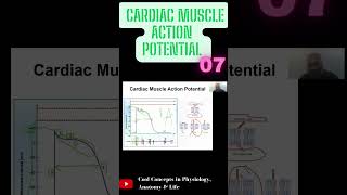 Cardiac Muscle Action Potential  Part7 shorts youtubeshorts youtube ytshorts [upl. by Akimik88]