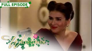 ENG SUB Ep 237  Wildflower  Maja Salvador Tirso Cruz III Aiko Melendez [upl. by Alyhc314]