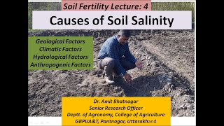 Causes of Soil Salinity [upl. by Arbua582]