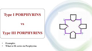 What are different types of Porphyrins [upl. by Leiuqese23]