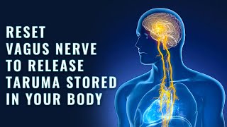 528 Hz Binaural Beats Healing Vagus Nerve Stimulation Music To Release Trauma Stored In Body [upl. by Ikcir]