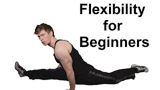 10 Minute Beginner Flexibility Training Get Flexible At Home [upl. by Sanoj870]