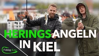 Heringsangeln  so geht´s FishingKingde [upl. by Pincus]