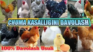 Chuma kasalligi ozi nima va qanday davolasa boladi [upl. by Pantia]