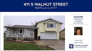 411 S Walnut Street Wapella Illinois Homes for Sale  wwwcoldwellhomescom [upl. by Shamus]