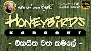 Vikasitha Watha Kamale Karaoke Without Voice විකසිත වත කමලේ කැරෝකේ [upl. by Janetta482]