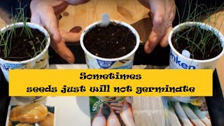 Germinating seeds indoors answers several questions Are your seeds viable [upl. by Anna286]