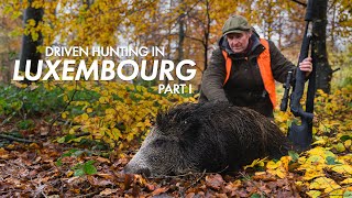 Driven Hunting in Luxembourg  Part I [upl. by Edas]