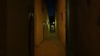 Mdina in the dark 🤩 malta nightview exploreeurope shortvideo [upl. by Lindell]