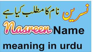 nasreen Name Meaning nasreen naam ka matlab kya hai in Urdu by pakistan tv [upl. by Eitisahc333]