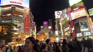 Night Life at Omotesando tokyo in the December 2024 [upl. by Dulcy]