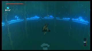 How to skip trial of the sword in BOTW and moon jump glich [upl. by Sirdna]