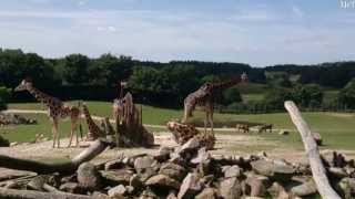 Ree Park  Ebeltoft Safari 2013 HD Full Danmark [upl. by Anawaj]