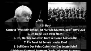 J S Bach  Secular Cantata quotWas Mir Behagt Ist Nur Die Muntre Jagdquot BWV 208 24 [upl. by Drawde419]