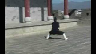 Wudang KungFu Tiger Taming form 武当伏虎拳 Master Zhou Xuan Yun [upl. by Uria]