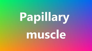 Papillary muscle  Medical Definition and Pronunciation [upl. by Diella828]