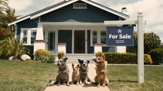 Zillow Bluey 2024 Commercial [upl. by Ahsimet488]