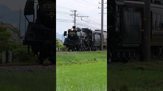 【4K縦動画】C58363 門デフ！秩父鉄道・SLパレオ 明戸〜大麻生通過 ChichibuRailway Steam locomotive Class C58 quotPALEO EXPRESSquot [upl. by Garratt]