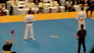 Kyokushin Karate 10th World Open Estensoro VS Akaishi 20111106 [upl. by Tabber940]