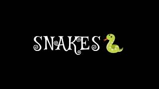 San T  Snakes  Lyrical Video  Tamil Rap [upl. by Nosbig]